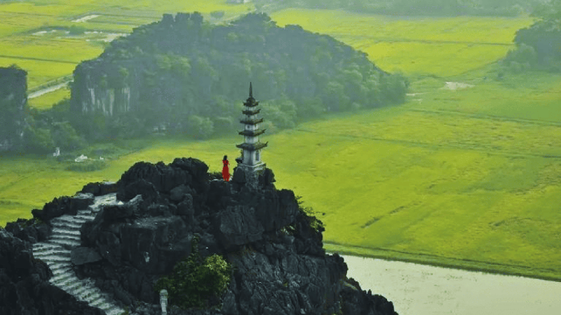 Highlights of Ninh Binh and Tea Ceremony (3)